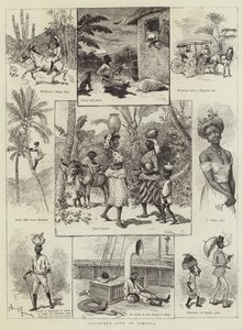 Vie colorée en Jamaïque